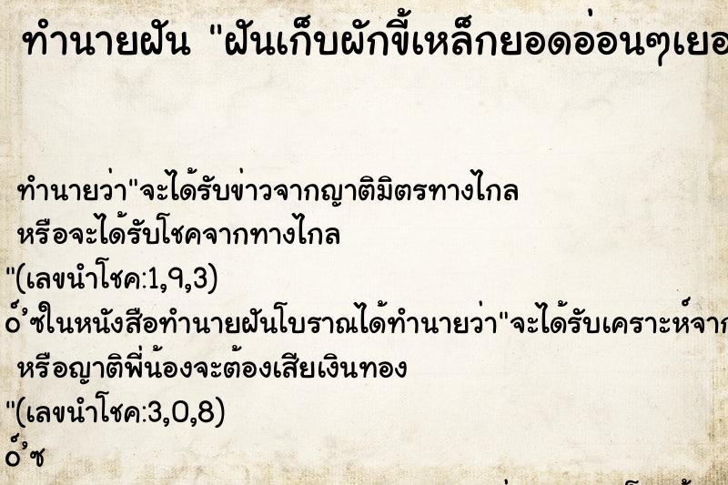 ทำนายฝันทำนายฝันฝันเก็บผักขี้เหล็กยอดอ่อนๆเยอะมาก